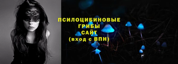 прущие грибы Елабуга