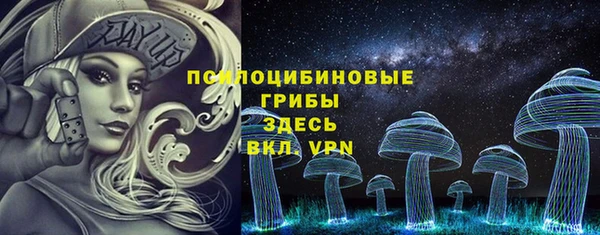 не бодяженный Белокуриха