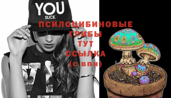 не бодяженный Белокуриха