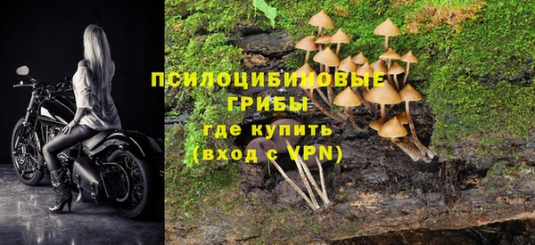 мяу мяу мука Саяногорск