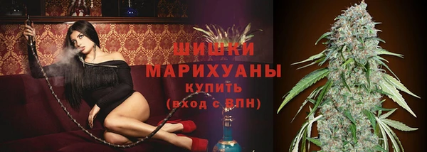 не бодяженный Белокуриха