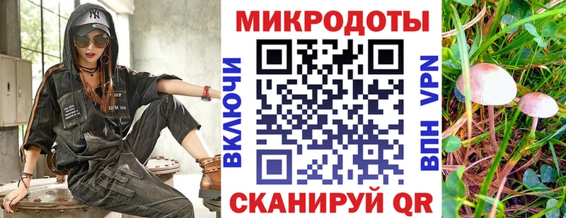 Псилоцибиновые грибы Psilocybe  цены наркотик  mega как войти  Елабуга 
